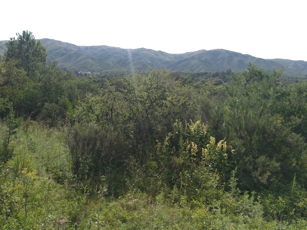 LOTES EN HUERTA GRANDE -  GRAN VISTA PANORÁMICA
