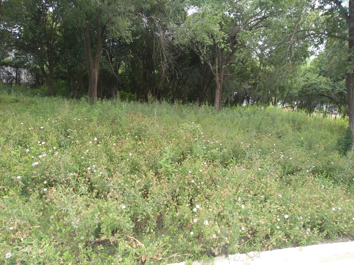 TERRENO EN BARRIO EL DOMINADOR - LA FALDA.