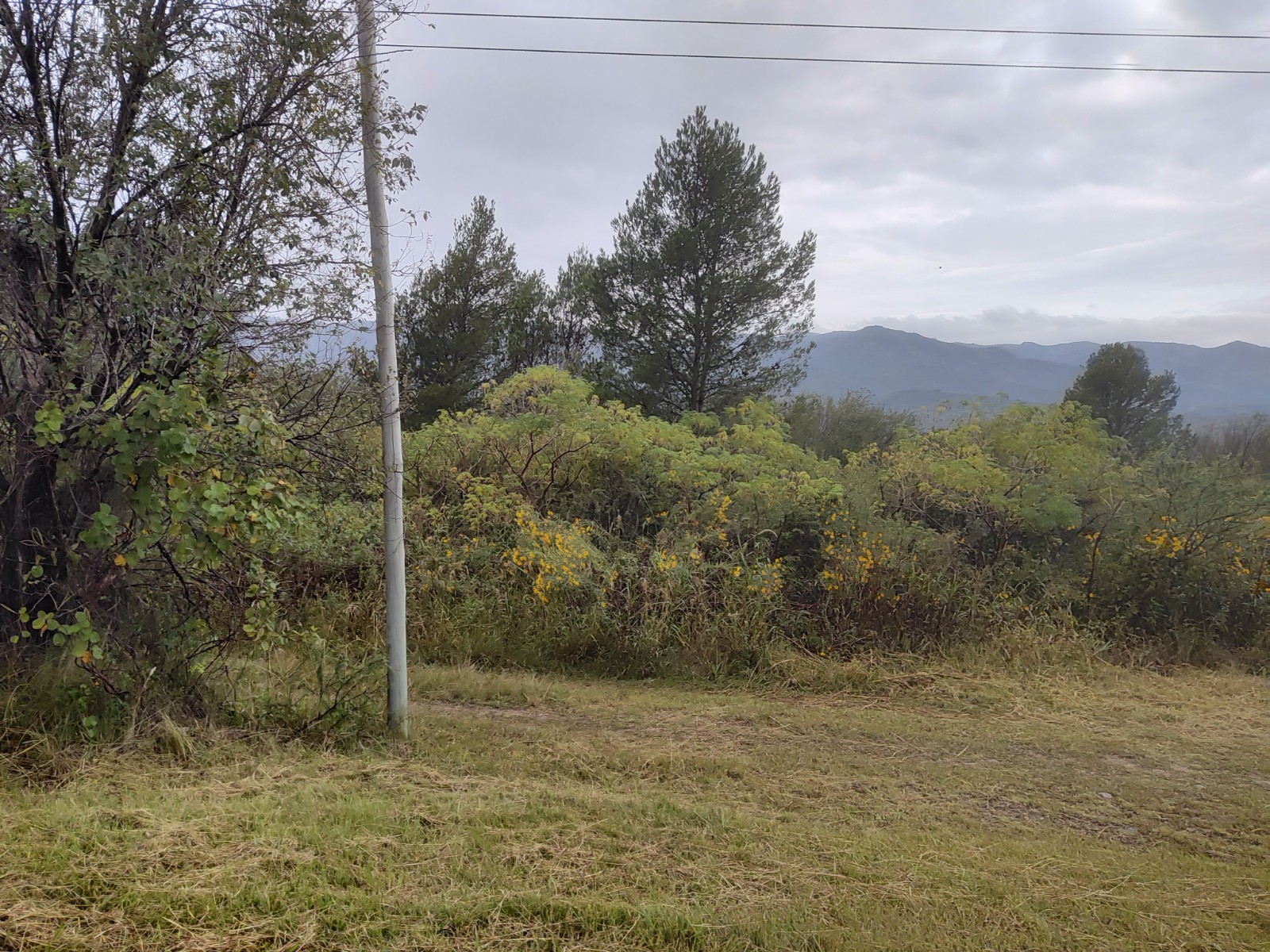 TERRENO - RUTA NACIONAL 38 - CASA GRANDE.-